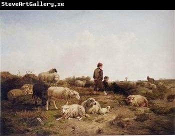 unknow artist Sheep 189